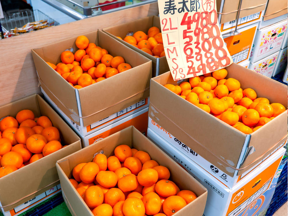 会社概要02｜八百屋 青果配達・卸売・小売｜株式会社八百はら商店