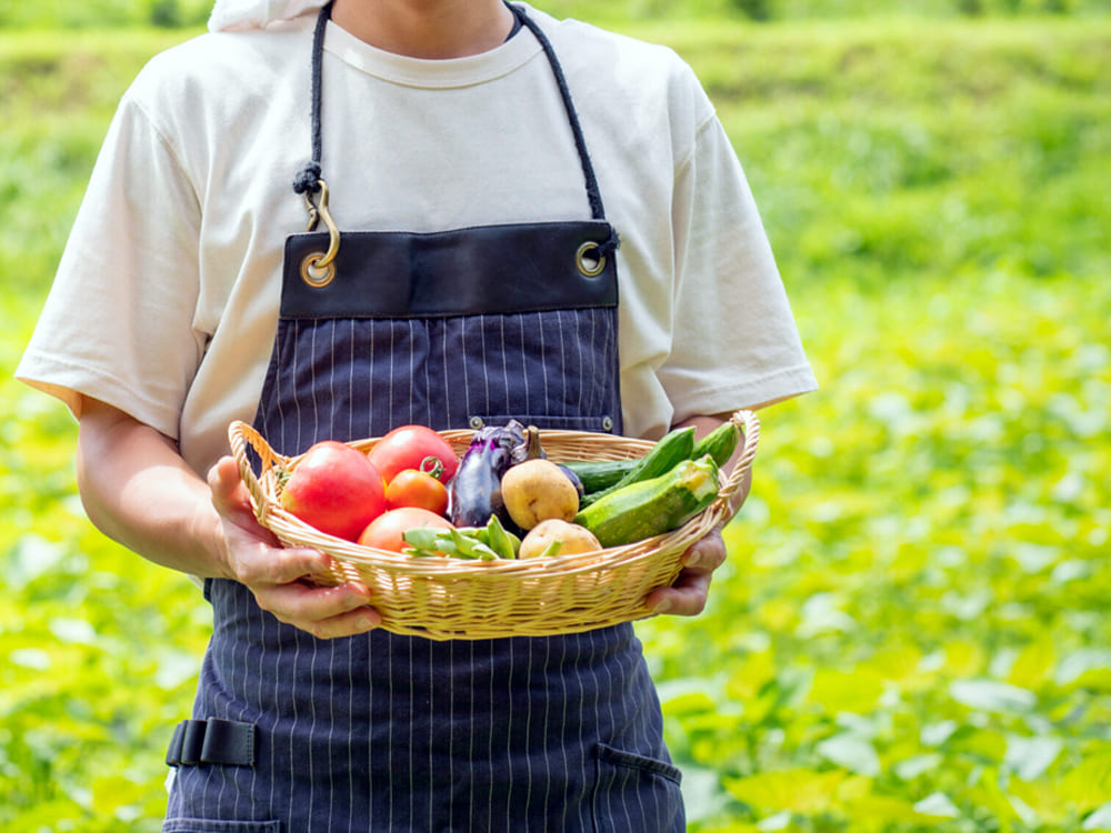 地元静岡の新鮮野菜・果物を中心に全国各地からこだわり抜いた旬の食材が並ぶ青果店｜八百屋 青果配達・卸売・小売｜株式会社八百はら商店