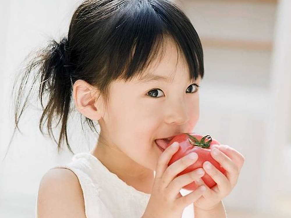 八百はら商店は皆さまのもとへ「最高の食材」をお届け｜八百屋 青果配達・卸売・小売｜株式会社八百はら商店