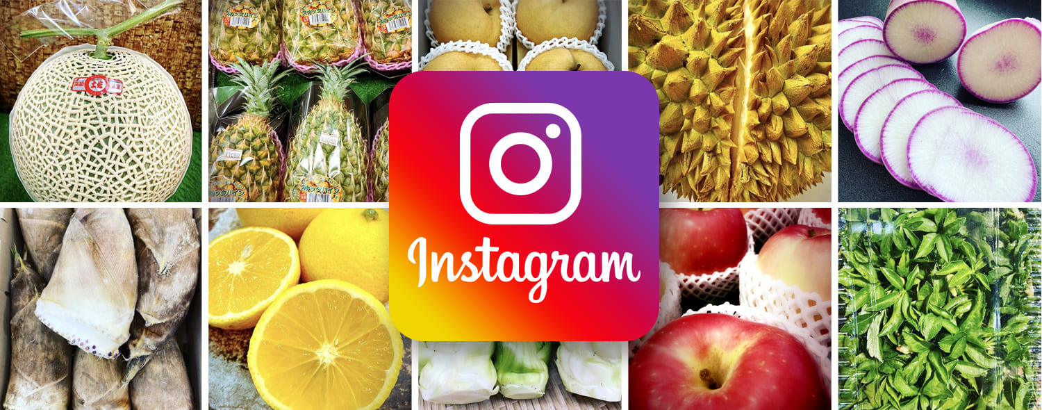 八百はら商店インスタグラム八百屋 青果配達・卸売・小売｜株式会社八百はら商店