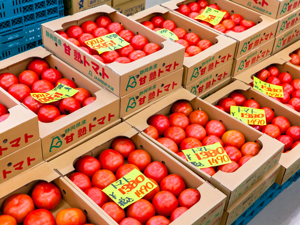 すべては「こだわり」の仕入れから｜八百屋 青果配達・卸売・小売｜株式会社八百はら商店