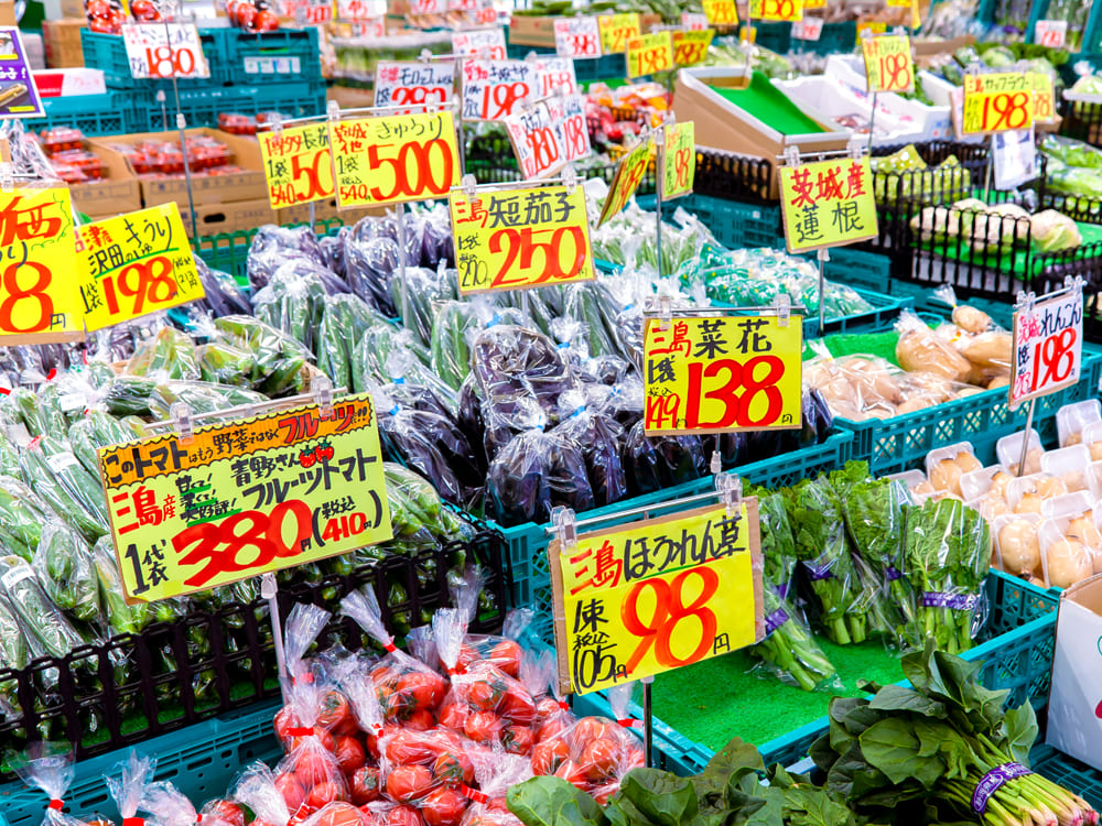 品種や産地も幅広く｜八百屋 青果配達・卸売・小売｜株式会社八百はら商店