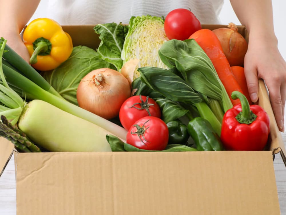 鮮度抜群の食材をお店や施設にお届け1｜八百屋 青果配達・卸売・小売｜株式会社八百はら商店